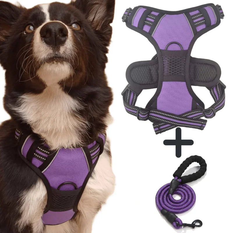 Peitoral Reforçado com Guia para Cachorros